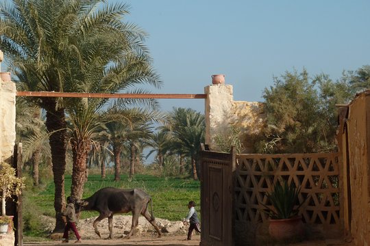 Tour image 7