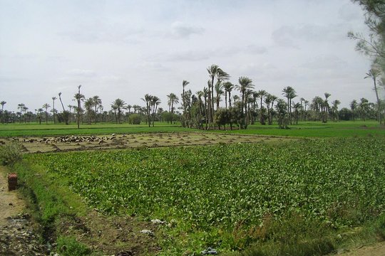Tour image 9