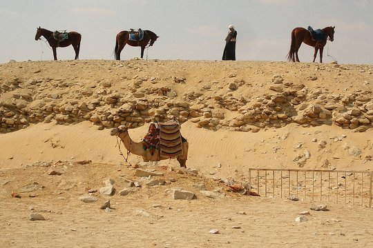 Tour image 5