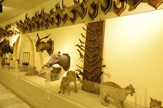 Tour image 5