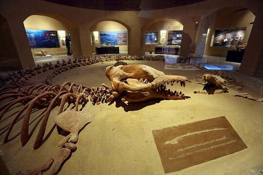 Tour image 5
