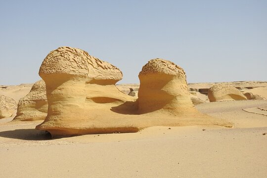 Tour image 4