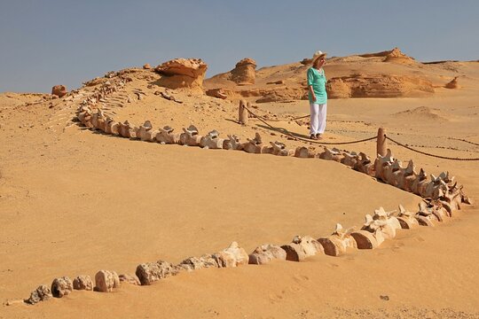Tour image 2