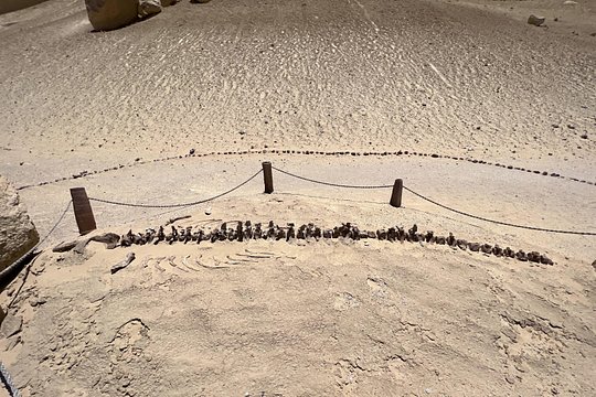 Tour image 11