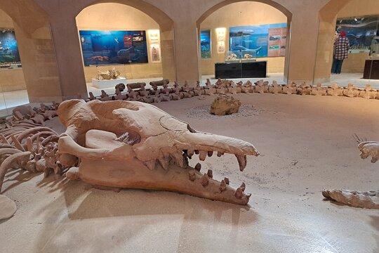 Tour image 6